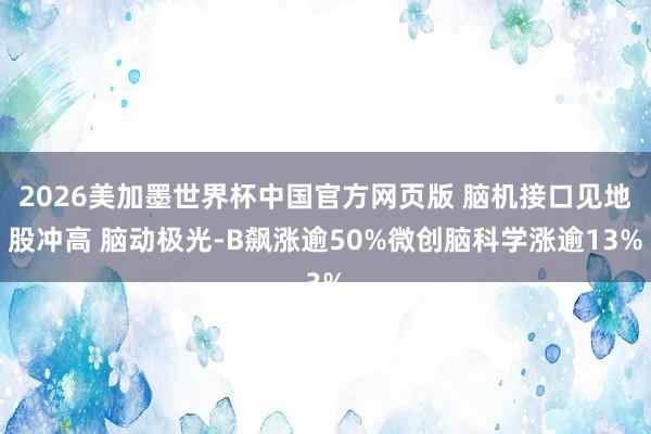 2026美加墨世界杯中国官方网页版 脑机接口见地股冲高 脑动极光-B飙涨逾50%微创脑科学涨逾13%