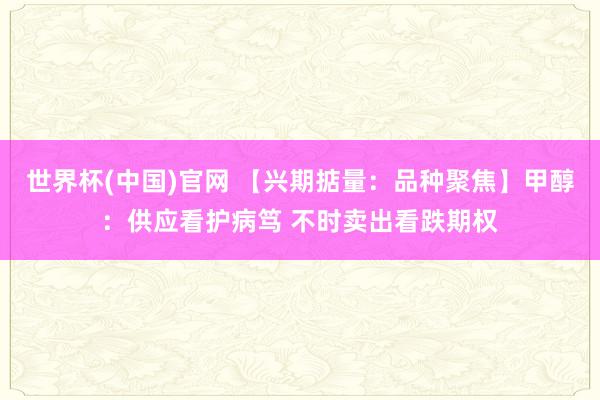 世界杯(中国)官网 【兴期掂量:品种聚焦】甲醇:供应看护病笃 不时卖出看跌期权