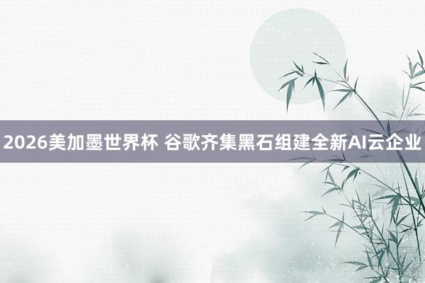 2026美加墨世界杯 谷歌齐集黑石组建全新AI云企业