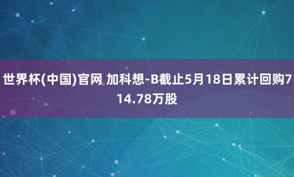 世界杯(中国)官网 加科想-B截止5月18日累计回购714.78万股