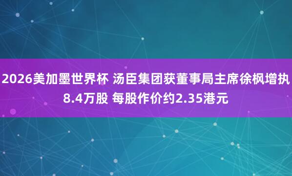 2026美加墨世界杯 汤臣集团获董事局主席徐枫增执8.4万股 每股作价约2.35港元