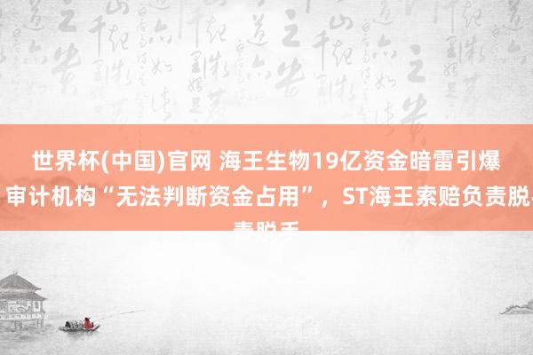 世界杯(中国)官网 海王生物19亿资金暗雷引爆!审计机构“无法判断资金占用”,ST海王索赔负责脱手