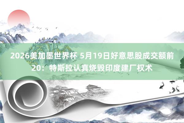 2026美加墨世界杯 5月19日好意思股成交额前20:特斯拉认真烧毁印度建厂权术