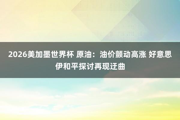 2026美加墨世界杯 原油：油价颤动高涨 好意思伊和平探讨再现迂曲