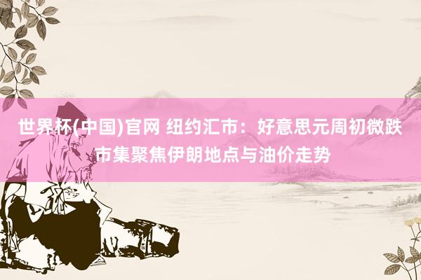世界杯(中国)官网 纽约汇市:好意思元周初微跌 市集聚焦伊朗地点与油价走势