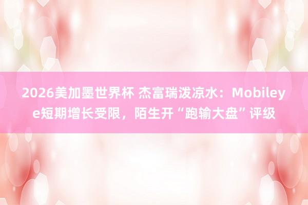 2026美加墨世界杯 杰富瑞泼凉水:Mobileye短期增长受限,陌生开“跑输大盘”评级