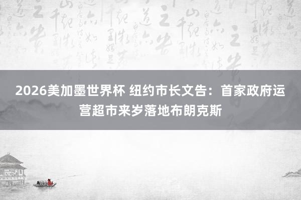 2026美加墨世界杯 纽约市长文告:首家政府运营超市来岁落地布朗克斯
