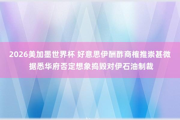 2026美加墨世界杯 好意思伊酬酢商榷推崇甚微 据悉华府否定想象捣毁对伊石油制裁