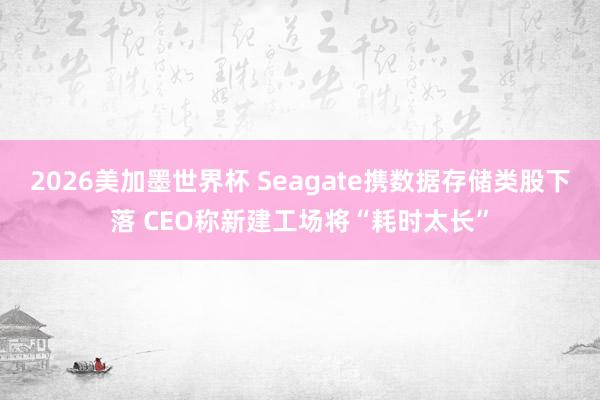 2026美加墨世界杯 Seagate携数据存储类股下落 CEO称新建工场将“耗时太长”