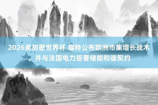 2026美加墨世界杯 福特公布欧洲市集增长战术,并与法国电力签署储能和谐契约