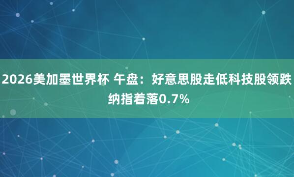 2026美加墨世界杯 午盘:好意思股走低科技股领跌 纳指着落0.7%