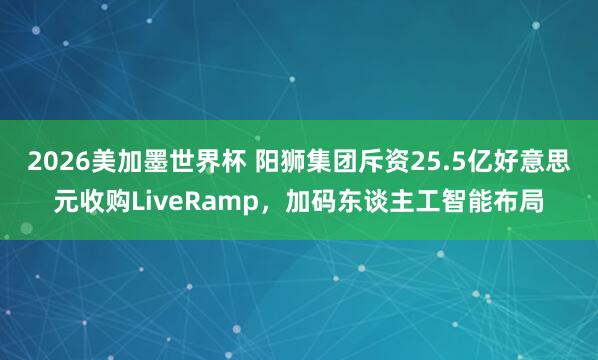 2026美加墨世界杯 阳狮集团斥资25.5亿好意思元收购LiveRamp，加码东谈主工智能布局
