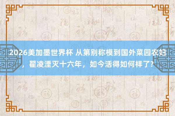 2026美加墨世界杯 从第别称模到国外菜园农妇,翟凌湮灭十六年,如今活得如何样了?