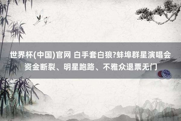 世界杯(中国)官网 白手套白狼?蚌埠群星演唱会资金断裂、明星跑路、不雅众退票无门