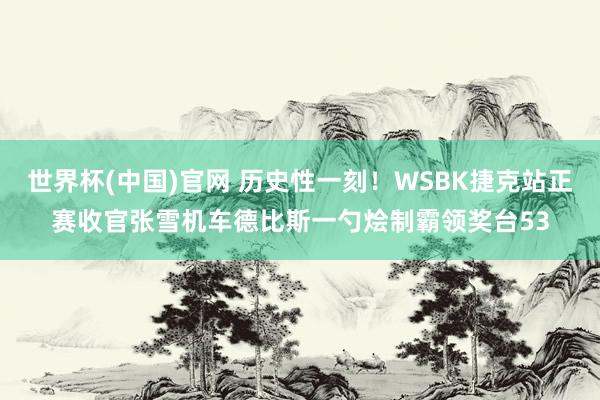 世界杯(中国)官网 历史性一刻!WSBK捷克站正赛收官张雪机车德比斯一勺烩制霸领奖台53