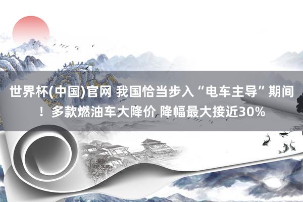 世界杯(中国)官网 我国恰当步入“电车主导”期间!多款燃油车大降价 降幅最大接近30%