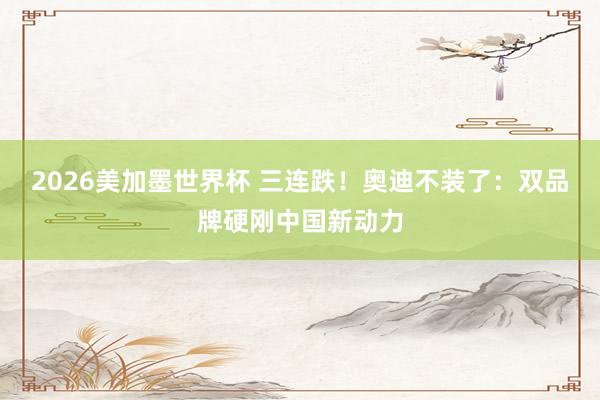2026美加墨世界杯 三连跌!奥迪不装了:双品牌硬刚中国新动力