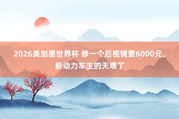 2026美加墨世界杯 修一个后视镜要6000元，新动力车主的天塌了