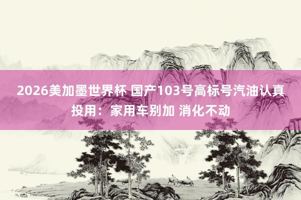 2026美加墨世界杯 国产103号高标号汽油认真投用：家用车别加 消化不动