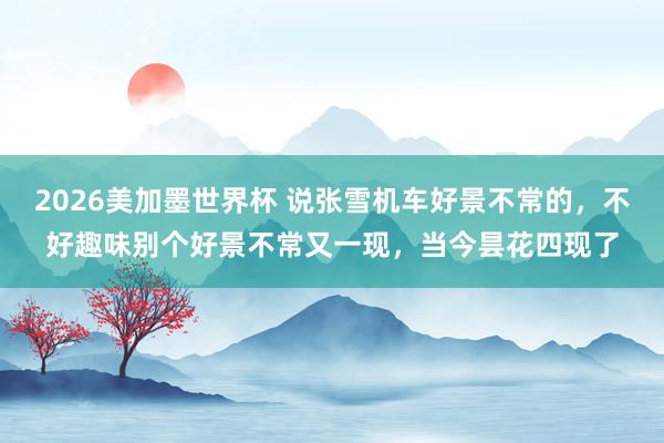 2026美加墨世界杯 说张雪机车好景不常的，不好趣味别个好景不常又一现，当今昙花四现了