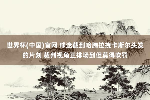 世界杯(中国)官网 球迷截到哈腾拉拽卡斯尔头发的片刻 裁判视角正排场到但莫得吹罚