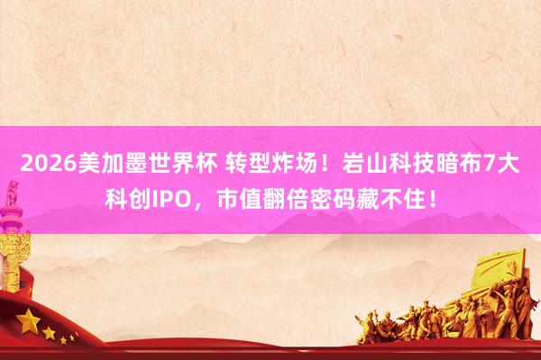 2026美加墨世界杯 转型炸场!岩山科技暗布7大科创IPO,市值翻倍密码藏不住!