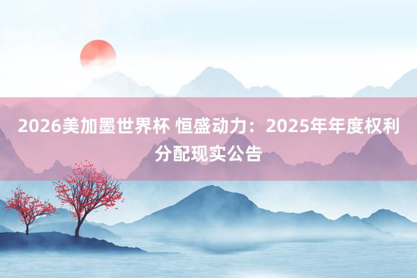 2026美加墨世界杯 恒盛动力：2025年年度权利分配现实公告