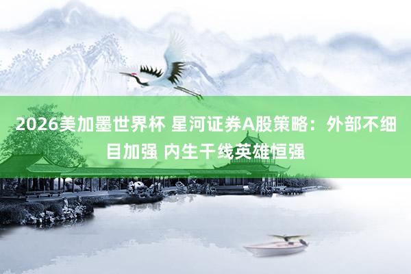 2026美加墨世界杯 星河证券A股策略:外部不细目加强 内生干线英雄恒强