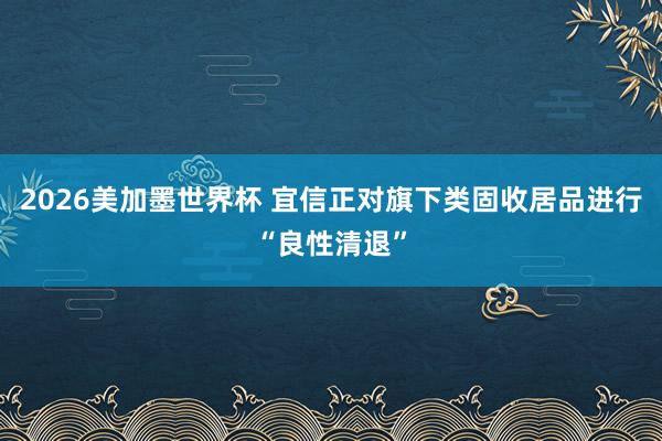 2026美加墨世界杯 宜信正对旗下类固收居品进行“良性清退”