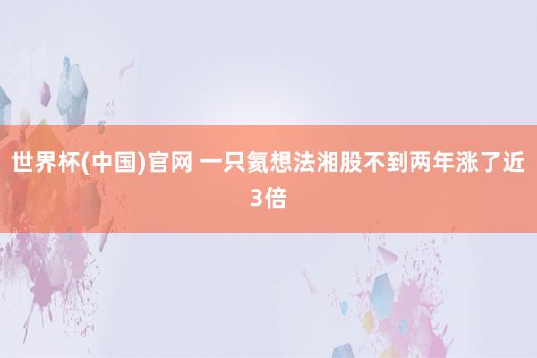 世界杯(中国)官网 一只氦想法湘股不到两年涨了近3倍