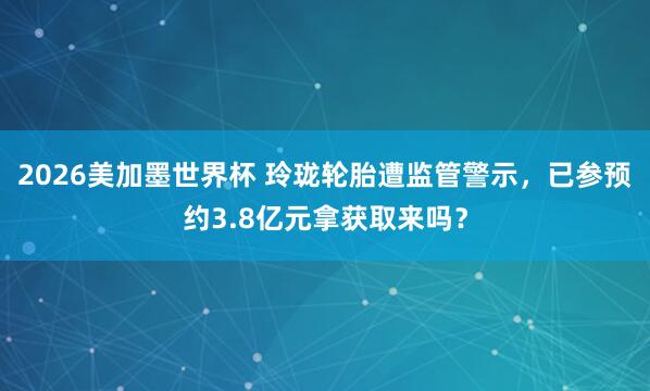 2026美加墨世界杯 玲珑轮胎遭监管警示,已参预约3.8亿元拿获取来吗?