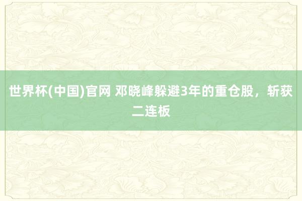 世界杯(中国)官网 邓晓峰躲避3年的重仓股,斩获二连板