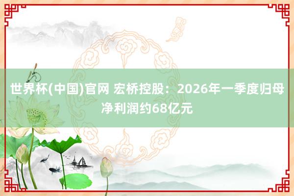 世界杯(中国)官网 宏桥控股：2026年一季度归母净利润约68亿元