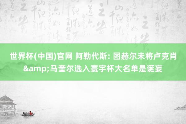 世界杯(中国)官网 阿勒代斯: 图赫尔未将卢克肖&马奎尔选入寰宇杯大名单是诞妄