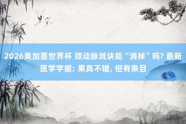 2026美加墨世界杯 颈动脉斑块能“消掉”吗? 最新医学字据: 果真不错, 但有条目