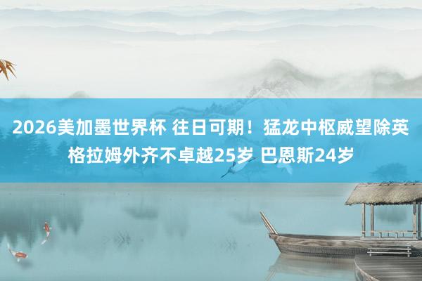 2026美加墨世界杯 往日可期！猛龙中枢威望除英格拉姆外齐不卓越25岁 巴恩斯24岁