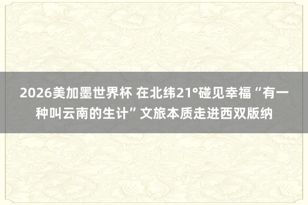 2026美加墨世界杯 在北纬21°碰见幸福“有一种叫云南的生计”文旅本质走进西双版纳