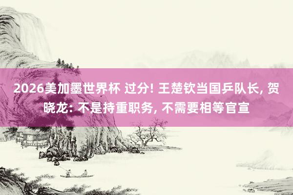 2026美加墨世界杯 过分! 王楚钦当国乒队长, 贺晓龙: 不是持重职务, 不需要相等官宣