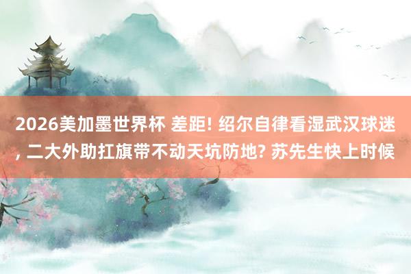 2026美加墨世界杯 差距! 绍尔自律看湿武汉球迷, 二大外助扛旗带不动天坑防地? 苏先生快上时候