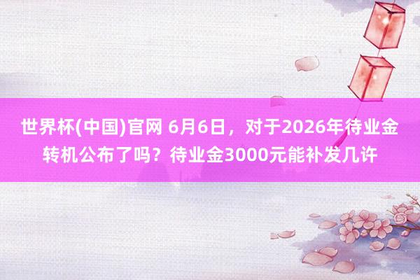世界杯(中国)官网 6月6日,对于2026年待业金转机公布了吗?待业金3000元能补发几许