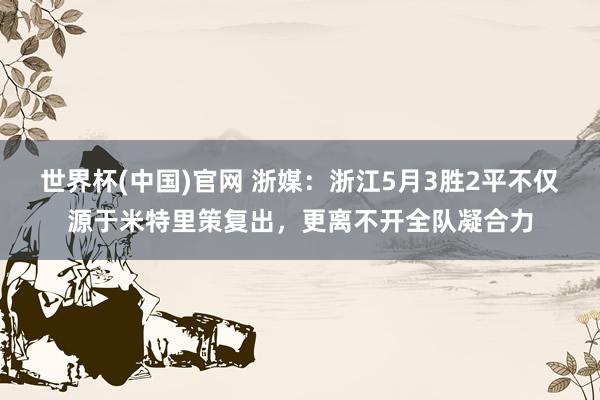 世界杯(中国)官网 浙媒:浙江5月3胜2平不仅源于米特里策复出,更离不开全队凝合力