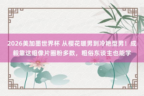 2026美加墨世界杯 从樱花暖男到冷艳型男!成毅靠这组像片圈粉多数,粗俗东谈主也能学