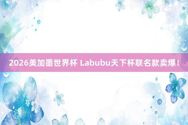 2026美加墨世界杯 Labubu天下杯联名款卖爆!