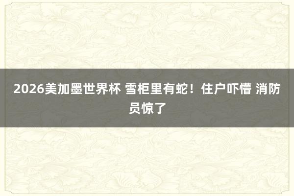 2026美加墨世界杯 雪柜里有蛇!住户吓懵 消防员惊了