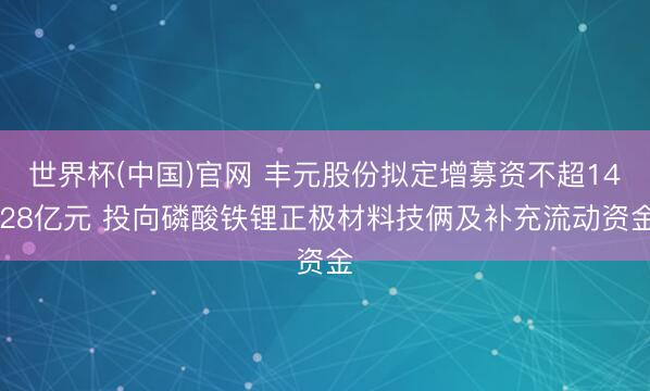 世界杯(中国)官网 丰元股份拟定增募资不超14.28亿元 投向磷酸铁锂正极材料技俩及补充流动资金