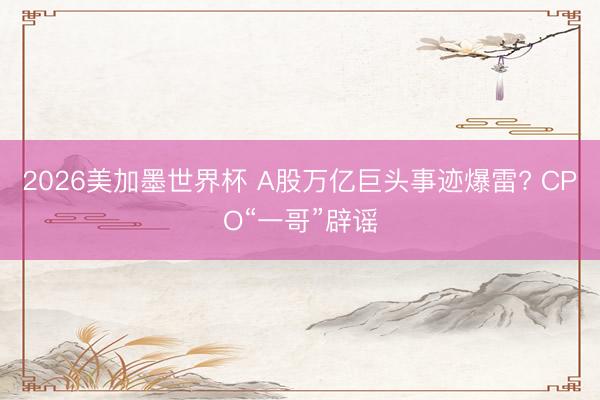 2026美加墨世界杯 A股万亿巨头事迹爆雷? CPO“一哥”辟谣