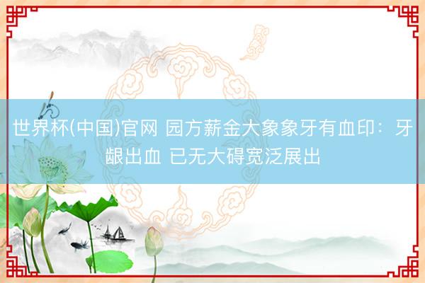 世界杯(中国)官网 园方薪金大象象牙有血印：牙龈出血 已无大碍宽泛展出