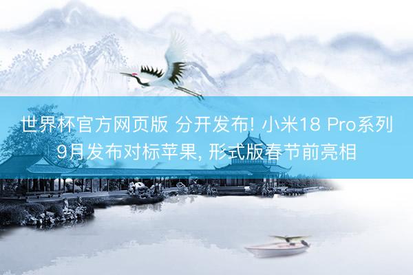 世界杯官方网页版 分开发布! 小米18 Pro系列9月发布对标苹果, 形式版春节前亮相