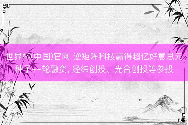 世界杯(中国)官网 逆矩阵科技赢得超亿好意思元种子++轮融资, 经纬创投、光合创投等参投