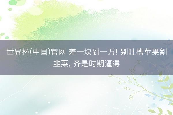 世界杯(中国)官网 差一块到一万! 别吐槽苹果割韭菜, 齐是时期逼得